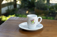 bosque_143 (Copy).png