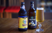 bosque_135 (Copy).png