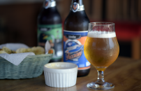 bosque_142 (Copy).png