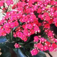 20160714_105011 2.jpg